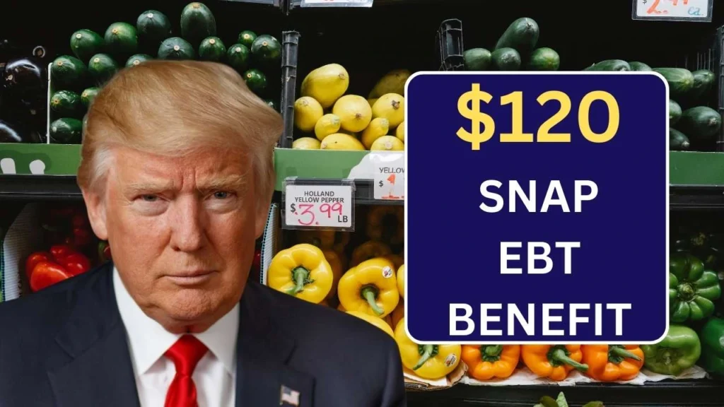 $120 EBT Benefits Payment February 2025: Check States, Payment Dates & Eligibility